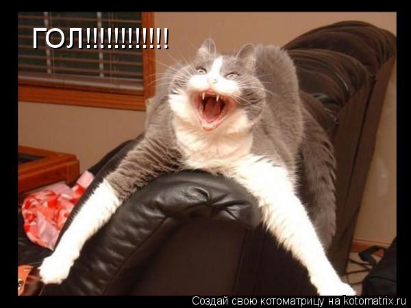 ГОЛ!!!!!!!!!!!!... Котоматрица: ГОЛ!!!!!!!!!!!!