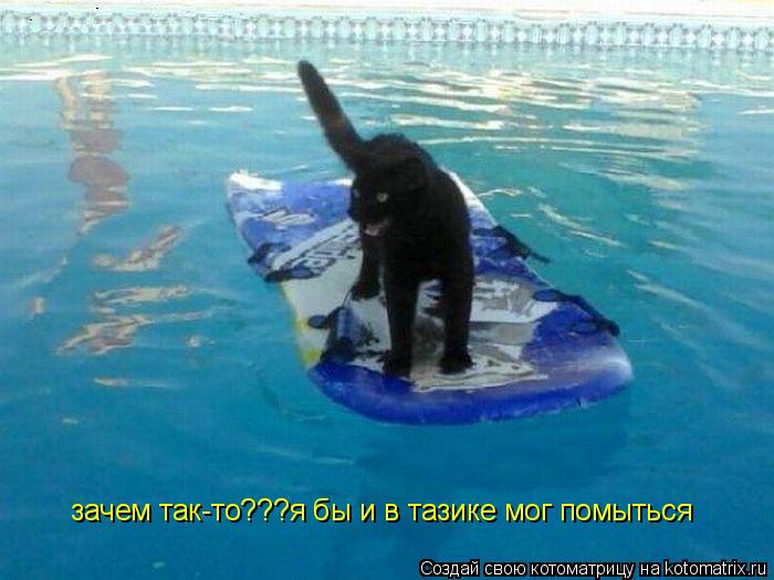 зачем так-то???я бы и в тазике мог помыться... Котоматрица: зачем так-то???я бы и в тазике мог помыться