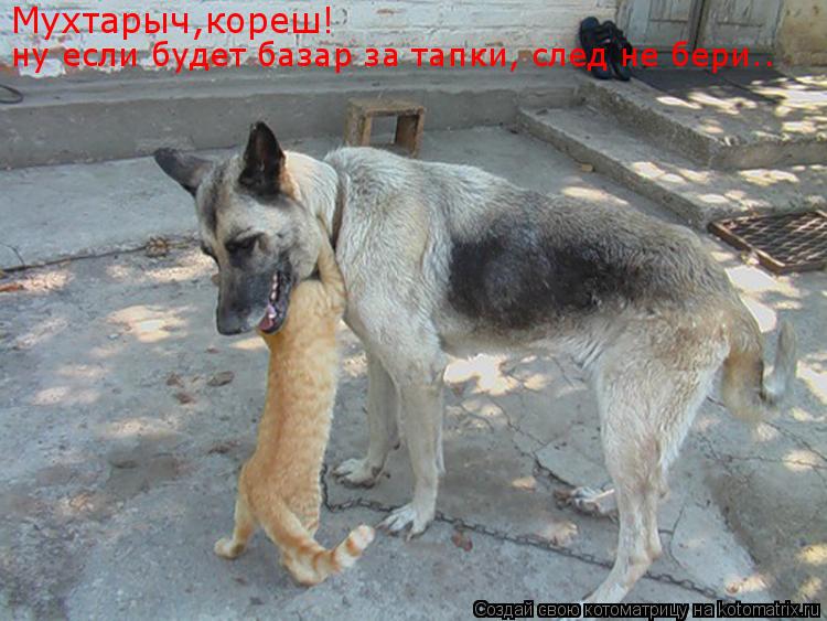 Мухтарыч,кореш! ну если будет базар за тапки, след не бери..... Котоматрица: Мухтарыч,кореш! ну если будет базар за тапки, след не бери..