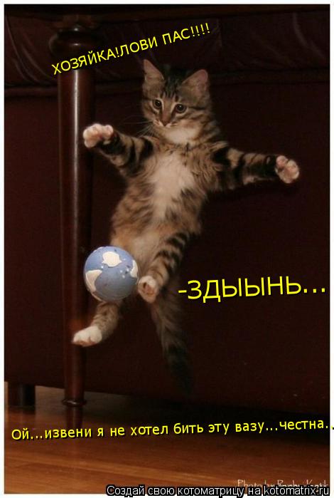 Котоматрица: ХОЗЯЙКА!ЛОВИ ПАС!!!! Ой...извени я не хотел бить эту вазу...честна... -ЗДЫЫНЬ...