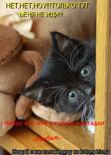 Котоматрица: НЕТ,НЕТ,НОУ!!!ТОЛЬКО ТУТ  МЕНЯ НЕ ИЩИ!!! -Найду кто мне в тапочки нагадил -Прибью...