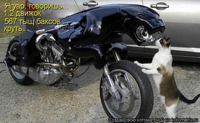 Котоматрица: Ягуар, говоришь... 1,2 движок 567 тыщ баксов.. круть..