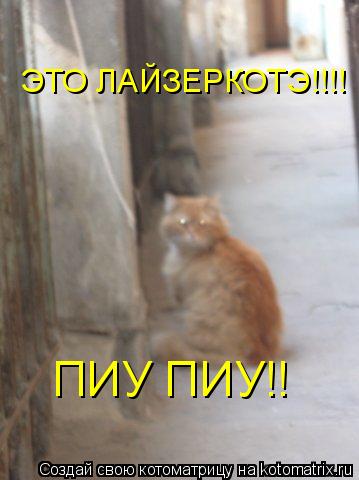 Котоматрица: ЭТО ЛАЙЗЕРКОТЭ!!!! ПИУ ПИУ!!
