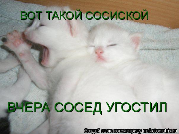 Котоматрица: ВОТ ТАКОЙ СОСИСКОЙ  ВЧЕРА СОСЕД УГОСТИЛ