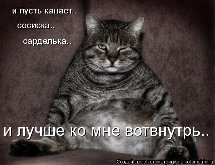 Котоматрица: и пусть канает.. сосиска.. сарделька.. и лучше ко мне вотвнутрь..