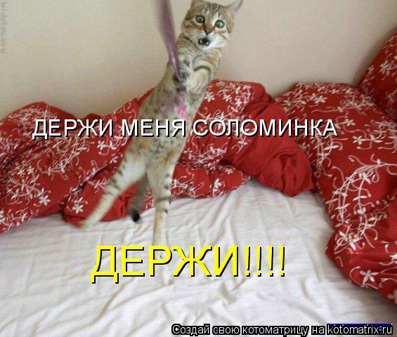 ДЕРЖИ МЕНЯ СОЛОМИНКА ДЕРЖИ!!!!... Котоматрица: ДЕРЖИ МЕНЯ СОЛОМИНКА ДЕРЖИ!!!!
