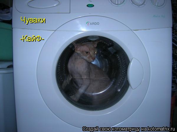 Чуваки -КайФ-... Котоматрица: Чуваки -КайФ-