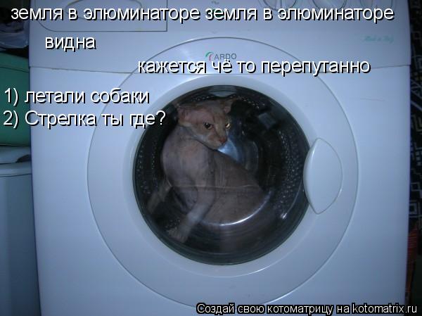 земля в элюминаторе земля в элюминаторе видна кажется чё то перепутанно 1) летали собаки 2) Стрелка ... Котоматрица: земля в элюминаторе земля в элюминаторе видна кажется чё то перепутанно 1) летали собаки 2) Стрелка ты где?
