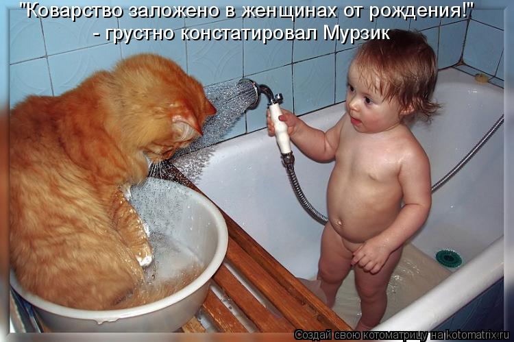"Коварство заложено в женщинах от рождения!" - грустно констатировал Мурзик... Котоматрица: "Коварство заложено в женщинах от рождения!" - грустно констатировал Мурзик
