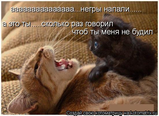 ааааааааааааааа...негры напали...... а это ты.....сколько раз говорил чтоб ты меня не будил... Котоматрица: ааааааааааааааа...негры напали...... а это ты.....сколько раз говорил чтоб ты меня не будил