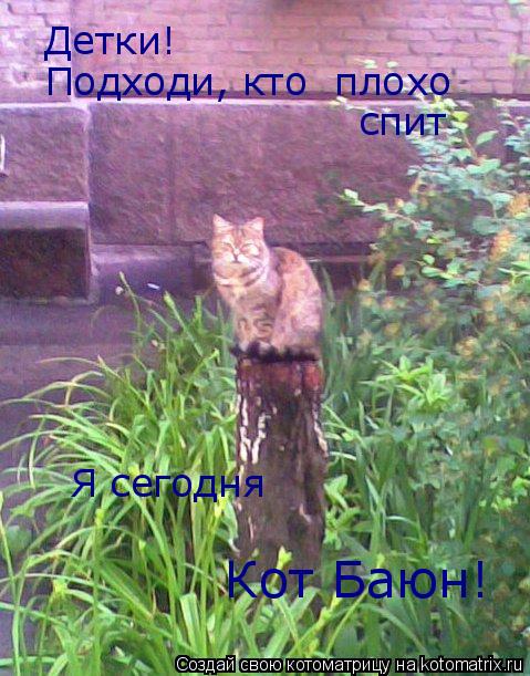 Котоматрица: Детки! Подходи, кто  плохо  спит Я сегодня Кот Баюн!