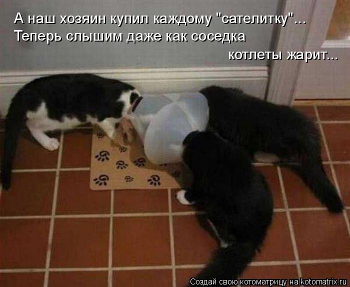 Котоматрица: А наш хозяин купил каждому "сателитку"... Теперь слышим даже как соседка котлеты жарит...
