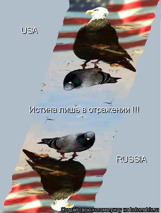 Котоматрица: Истина лишь в отражении !!! USA RUSSIA