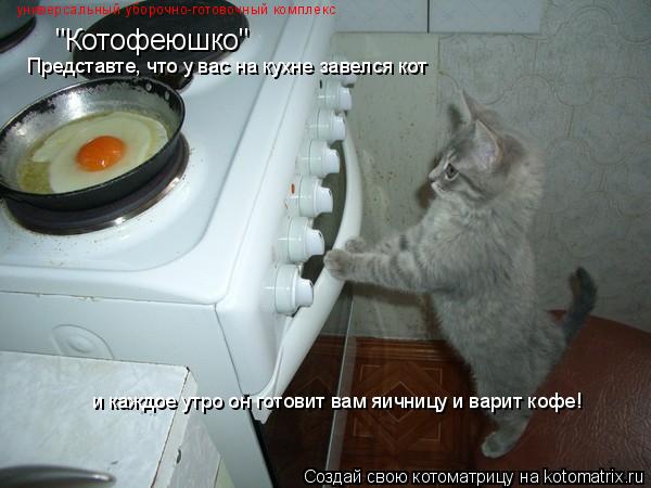 Котоматрица: "Котофеюшко" Представте, что у вас на кухне завелся кот и каждое утро он готовит вам яичницу и варит кофе! универсальный уборочно-готовочный
