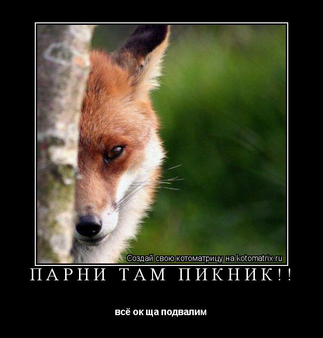 ПАРНИ ТАМ ПИКНИК!! всё ок ща подвалим... Котоматрица: ПАРНИ ТАМ ПИКНИК!! всё ок ща подвалим