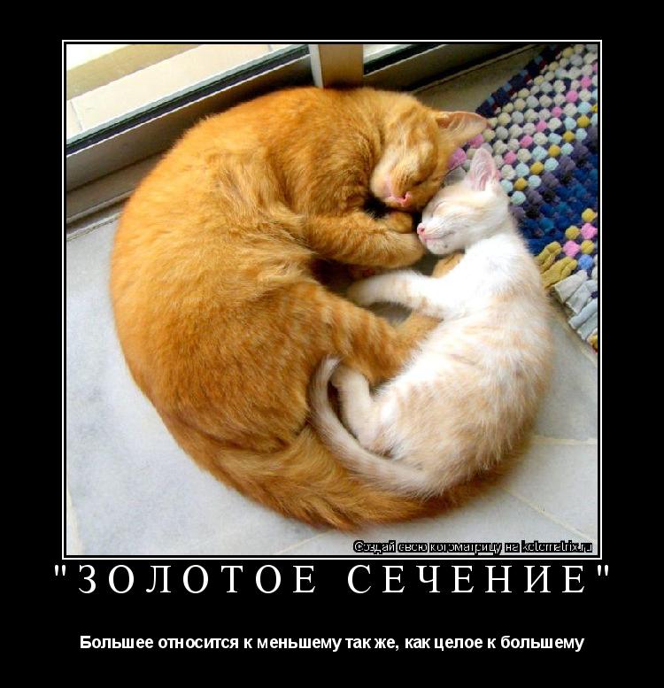 Котоматрица: "ЗОЛОТОЕ СЕЧЕНИЕ" Большее относится к меньшему так же, как целое к большему