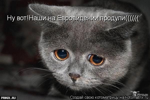 Котоматрица: Ну вот!Наши на Евровидении продули((((((