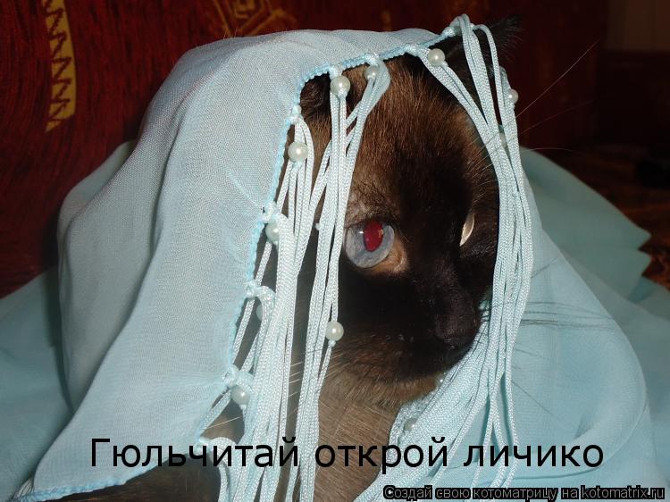 Котоматрица: Гюльчитай открой личико