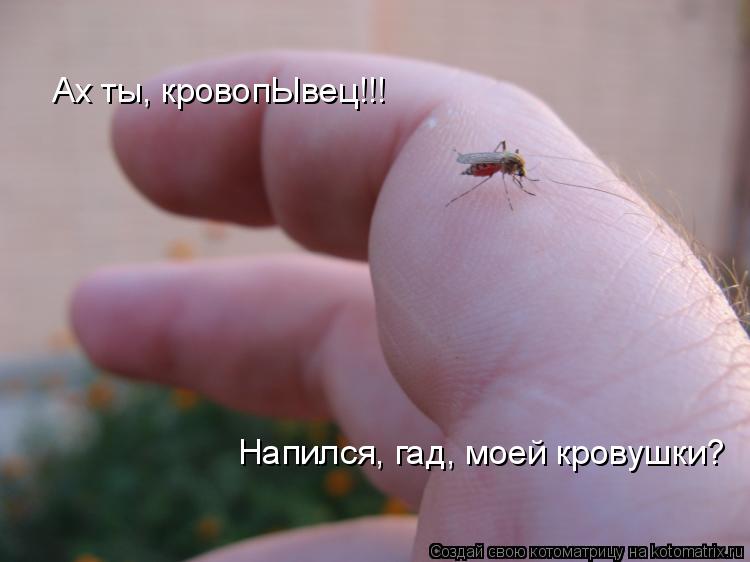 Котоматрица: Ах ты, кровопЫвец!!! Напился, гад, моей кровушки?