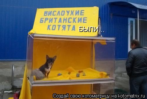 БЫЛИ...... Котоматрица: БЫЛИ...