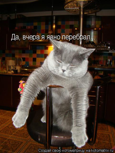 Котоматрица: Да, вчера я явно перебрал...