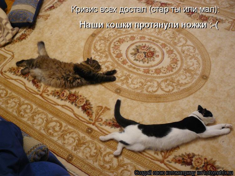 Котоматрица: Кризис всех достал (стар ты или мал): Наши кошки протянули ножки :-(