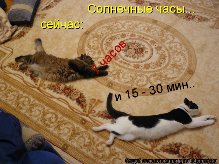 Котоматрица: Солнечные часы... сейчас: 7 часов и 15 - 30 мин..