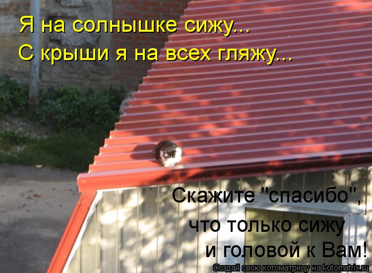 Я на солнышке сижу... С крыши я на всех гляжу... и головой к Вам! Скажите "спасибо", что только сиж... Котоматрица: Я на солнышке сижу... С крыши я на всех гляжу... и головой к Вам! Скажите "спасибо", что только сижу