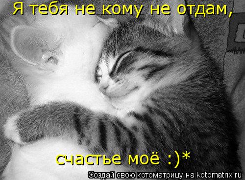 Я тебя не кому не отдам, счастье моё :)*... Котоматрица: Я тебя не кому не отдам, счастье моё :)*