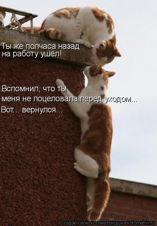 Ты же полчаса назад на работу ушёл! меня не поцеловала перед уходом... Вспомнил, что ты Вот... верну... Котоматрица: Ты же полчаса назад на работу ушёл! меня не поцеловала перед уходом... Вспомнил, что ты Вот... вернулся...