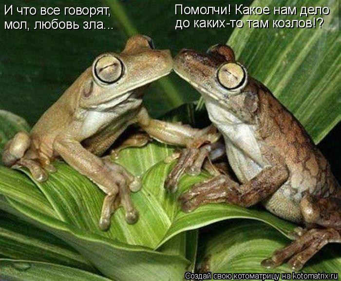 И что все говорят, мол, любовь зла... Помолчи! Какое нам дело до каких-то там козлов!?... Котоматрица: И что все говорят, мол, любовь зла... Помолчи! Какое нам дело до каких-то там козлов!?