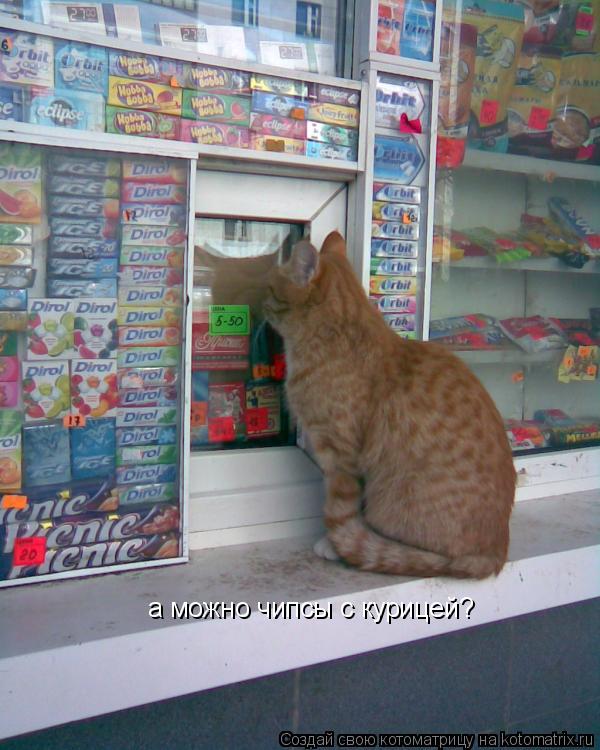 а можно чипсы с курицей?... Котоматрица: а можно чипсы с курицей?
