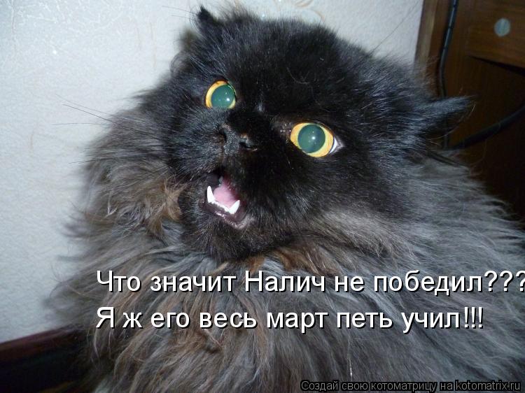 Котоматрица: Что значит Налич не победил??? Я ж его весь март петь учил!!!
