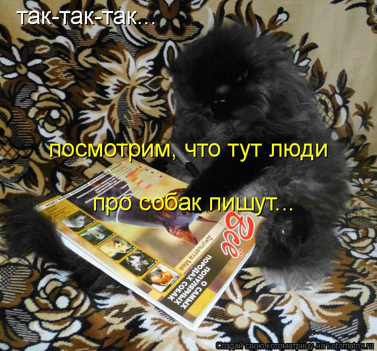 так-так-так... посмотрим, что тут люди про собак пишут...... Котоматрица: так-так-так... посмотрим, что тут люди про собак пишут...
