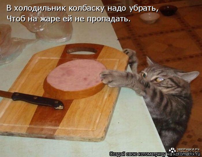 В холодильник колбаску надо убрать, Чтоб на жаре ей не пропадать.... Котоматрица: В холодильник колбаску надо убрать, Чтоб на жаре ей не пропадать.