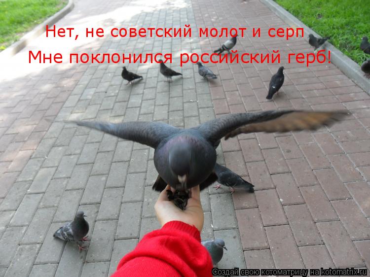 Нет, не советский молот и серп Мне поклонился российский герб!... Котоматрица: Нет, не советский молот и серп Мне поклонился российский герб!