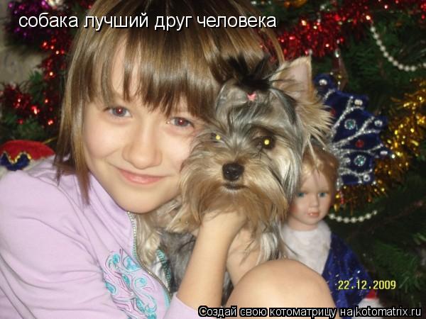 собака лучший друг человека... Котоматрица: собака лучший друг человека