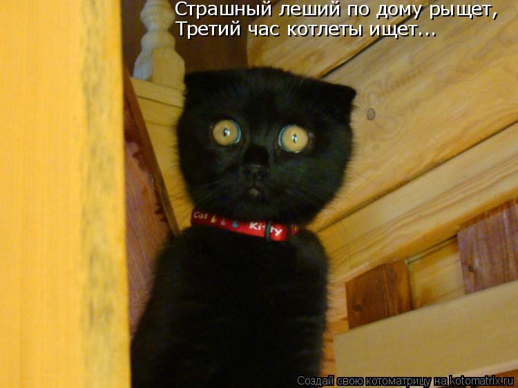 Страшный леший по дому рыщет, Третий час котлеты ищет...... Котоматрица: Страшный леший по дому рыщет, Третий час котлеты ищет...