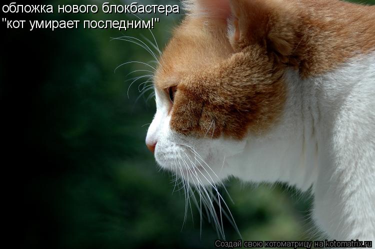 обложка нового блокбастера "кот умирает последним!"... Котоматрица: обложка нового блокбастера "кот умирает последним!"