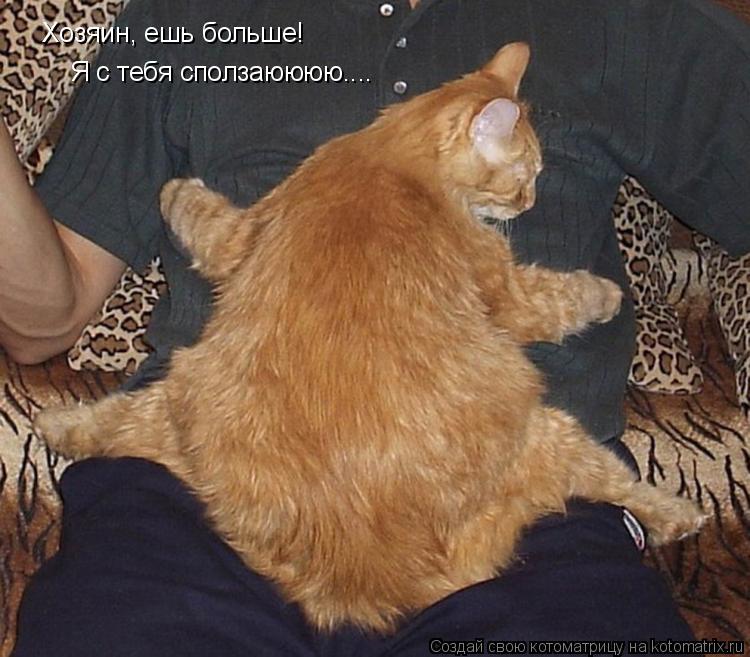 Хозяин, ешь больше! Я с тебя сползаюююю....... Котоматрица: Хозяин, ешь больше! Я с тебя сползаюююю....