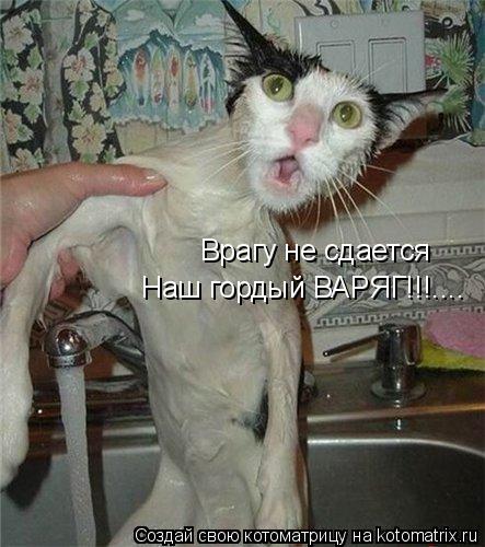 Врагу не сдается Наш гордый ВАРЯГ!!!....... Котоматрица: Врагу не сдается Наш гордый ВАРЯГ!!!....