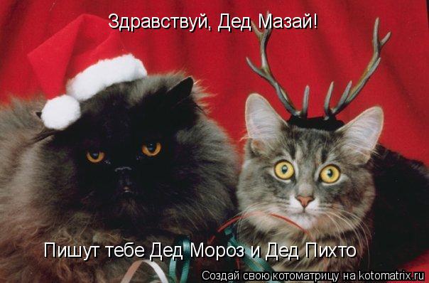 Здравствуй, Дед Мазай! Пишут тебе Дед Мороз и Дед Пихто... Котоматрица: Здравствуй, Дед Мазай! Пишут тебе Дед Мороз и Дед Пихто