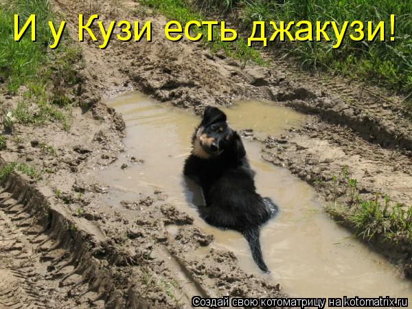 И у Кузи есть джакузи!... Котоматрица: И у Кузи есть джакузи!