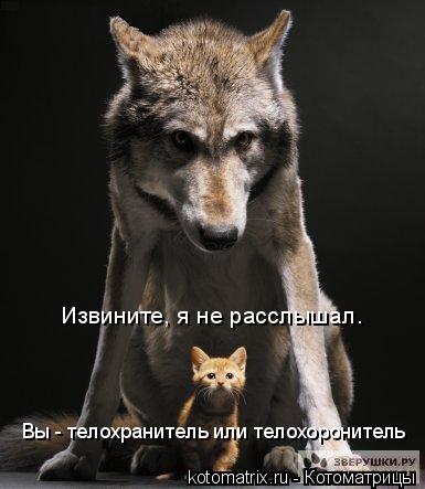 Извините, я не расслышал. Вы - телохранитель или телохоронитель... Котоматрица: Извините, я не расслышал. Вы - телохранитель или телохоронитель