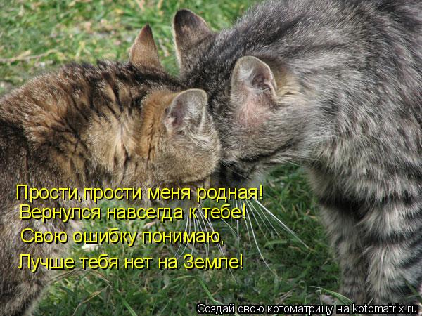 Прости,прости меня родная! Вернулся навсегда к тебе! Свою ошибку понимаю, Лучше тебя нет на Земле!... Котоматрица: Прости,прости меня родная! Вернулся навсегда к тебе! Свою ошибку понимаю, Лучше тебя нет на Земле!