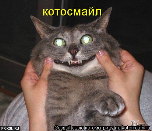 котосмайл... Котоматрица: котосмайл