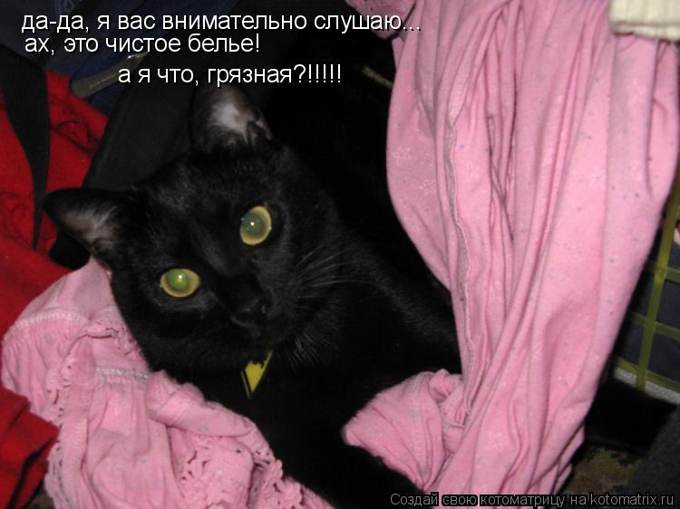 да-да, я вас внимательно слушаю... ах, это чистое белье! а я что, грязная?!!!!!... Котоматрица: да-да, я вас внимательно слушаю... ах, это чистое белье! а я что, грязная?!!!!!