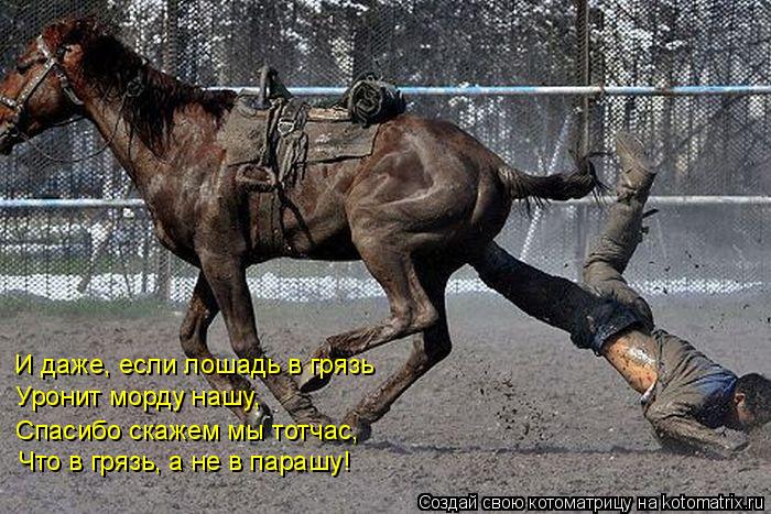 И даже, если лошадь в грязь Уронит морду нашу, Спасибо скажем мы тотчас, Что в грязь, а не в парашу!... Котоматрица: И даже, если лошадь в грязь Уронит морду нашу, Спасибо скажем мы тотчас, Что в грязь, а не в парашу!