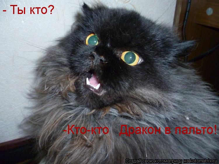 - Ты кто? -Кто-кто Дракон в пальто!... Котоматрица: - Ты кто? -Кто-кто Дракон в пальто!