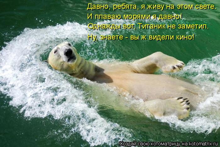 Котоматрица: Давно, ребята, я живу на этом свете. И плаваю морями я давно! Однажды вот, Титаник не заметил. Ну, знаете - вы ж видели кино!